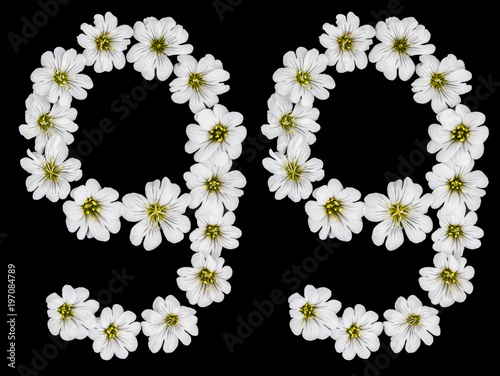 Arabic numeral 99, ninety nine, ninety, nine, from white flowers of Cerastium to Poster