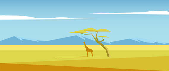 African vector landscape with giraffe standing under the acacia tree in the middle of savannah and mountains in the distance. Acacia and giraffe in the savannah field illustration. Nature of Africa