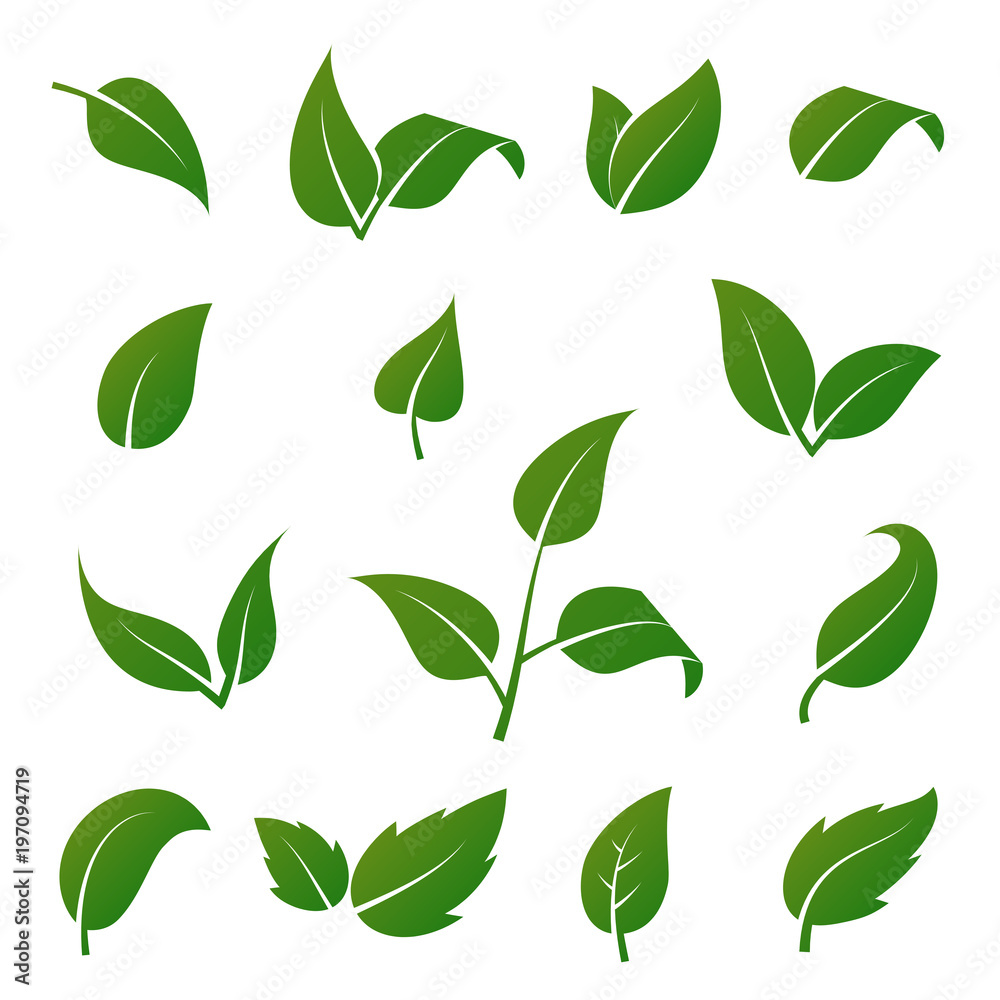 Green tree and plant leaves vector icons isolated on white background. Eco symbols set - obrazy, fototapety, plakaty 