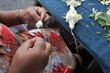 Cook Islander mature woman sewing a frangipani flowers lei Rarotonga Cook Islands