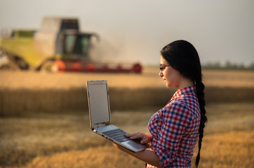 Farmer woman at harvest