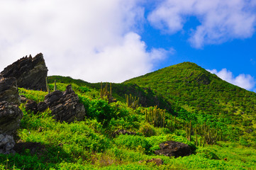 Eastern Point landscape 2