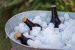 beer bottles sitting in galvanized ice bucket outdoors at picnic