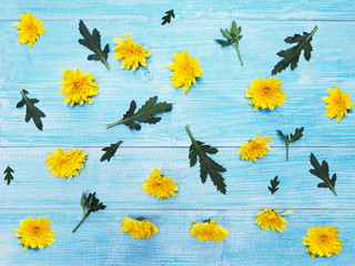 Wall Mural - yellow chrysanthemums flowers on vintage blue wood.