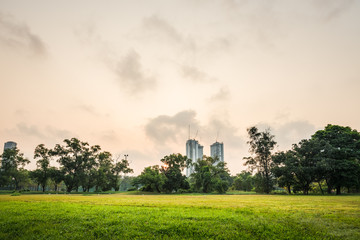 Canvas Print - Green grass field with building in Public Park