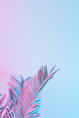 Wall Mural - tropical and palm leaves in vibrant bold gradient holographic colors. concept art. minimal surrealis