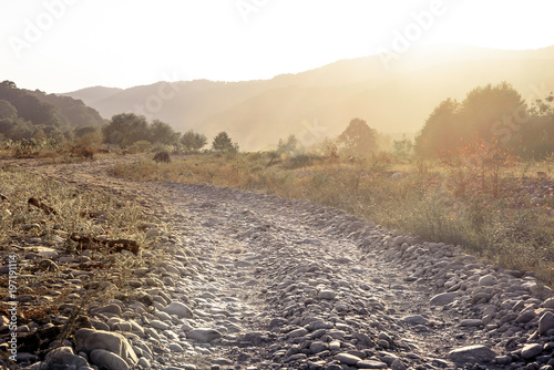 Fotografía The horizontal shot of stone dusty road in a dry valley on a background of bushes