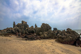 Fototapeta Sawanna - Beauty rocky beach in sunny