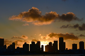 Miami Skyline