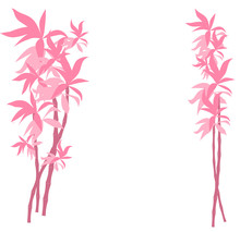 Pink Bamboo Romantic Frame