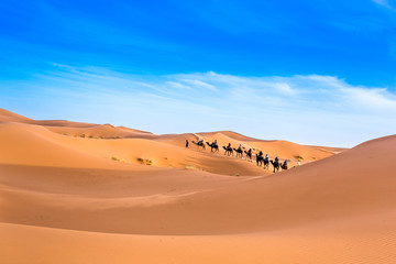 Wall Mural - Merzouga in the Sahara Desert in Morocco