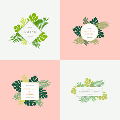 Wall Mural - Set of Monstera Tropical Leaves Fashion Signs or Logo Templates. Abstract Foliage with Golden Borders and Classy Typography. Pastel Backgrounds.