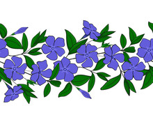 Seamless Pattern Of Blue Periwinkle. Garland With Vinca Flowers. Floral Elegant Ornament. Endless Border