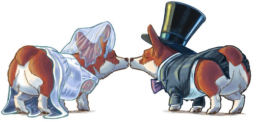 Corgi Bride and Groom Kissing Cartoon Illustration