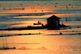 Fototapeta  -  Dongting lake scenery.