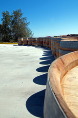  Oak wine barrels lined up next to tree
