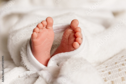 Bare feet of a cute newborn baby in warm white blanket Poster
