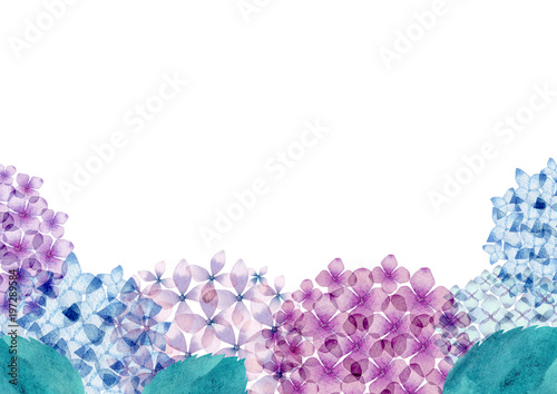 紫陽花 背景 フレーム 水彩 イラスト Stock Illustration Adobe Stock 紫陽花 背景 フレーム 水彩 イラスト Stock Illustration Adobe Stock