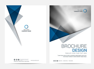 Wall Mural - brochure template flyer design vector background