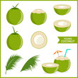 Set of fresh young coconut in vector format and various style