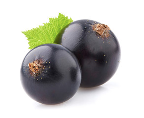 Wall Mural - Blackcurrant in closeup on white background