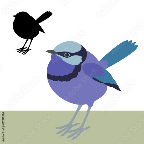 Cuadros en Lienzo fairy wren bird vector illustration flat style black silhouette