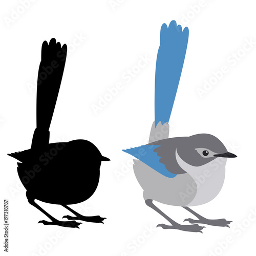 Fotografía fairy wren bird vector illustration flat style black silhouette