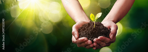 Photographie Close Up Plant in Female Hands