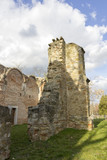 Fototapeta Kwiaty - Ruin church in Radpuszta