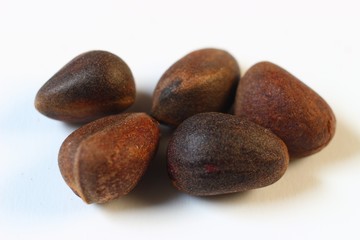 Wall Mural - Cedar nuts close-up on a white background