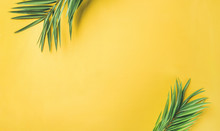 Flat-lay Of Green Palm Branches Over Yellow Background, Top View, Copy Space, Wide Composition. Summer Vacation, Travel Or Fashion Concept