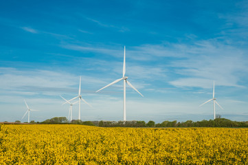 Wind Farm