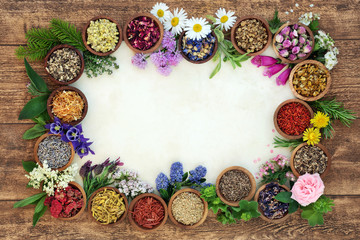 Poster - Herbal medicine background border with flowers and herbs used in natural alternative remedies with fresh herbs and flowers on parchment paper on rustic wood background. Top view.