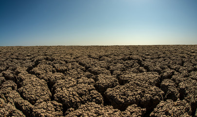 Wall Mural - severe drought desert