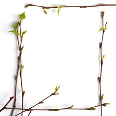 Wall Mural - Frame of birch branches with young green leaves on a white background, top view, flat layout. Copy space, concept of spring.