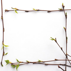 Wall Mural - Frame of birch branches with young green leaves on a white background, top view, flat layout. Copy space, concept of spring.