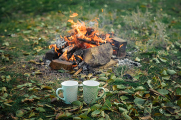 two mugs stand near the fire on the street in the foliage