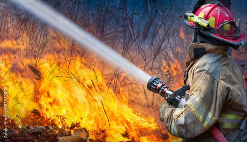 Natural disaster ,firefighters spray water to wildfire. Tableau sur Toile