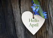 Hello April greeting card with blue first spring flowers on wood background. Springtime concept.Selective focus.