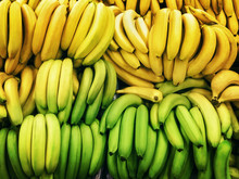 Bananas In Boxes Green And Ripe Yellow Bananas Are Lying In Rows On The Market Top View Photo Pattern