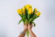 first person view. woman hold bouquet of yellow tulips. white background