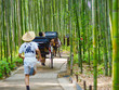 Bambus Wald Weg