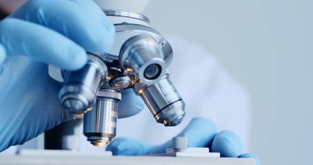 Wall Mural - scientist hands with microscope close-up shot in the laboratory