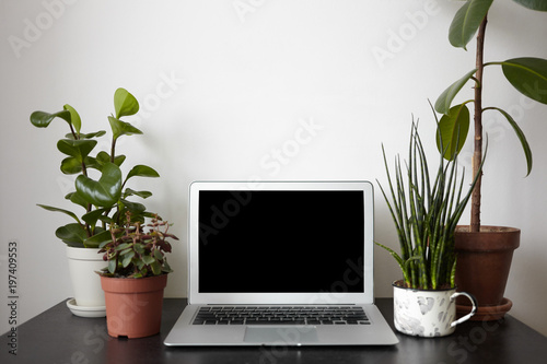 Image Of Stylish Cozy Workplace Of Modern Female Freelancer Four