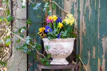 Fresh beautiful spring flowers in vintage pot and Easter decorations on the wooden table. Easter decor for home.