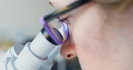 Wall Mural - mid age female scientist looking through microscope in the laboratory