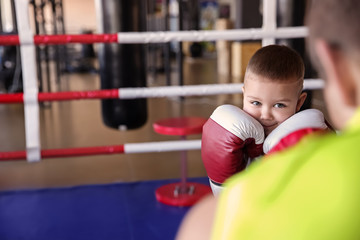 Wall Mural - Little boy training with coach in boxing ring