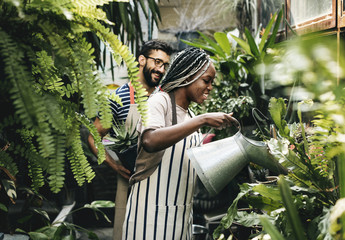 Couple taking care of the plants