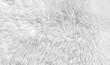 © Илья Подопригоров - White wool with white top texture background, light natural sheep wool, white seamless cotton, texture of fluffy fur for designers, close-up fragment white wool carpet