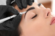 © Africa Studio - Young woman undergoing procedure of eyebrow permanent makeup in beauty salon, closeup
